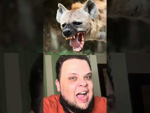 SE OS ANIMAIS FOSSEM INFLUENCERS