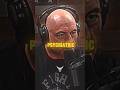 This is what helped Tyson Fury to get better. | Trust God #tysonfury #joerogan