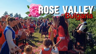 🇧🇬 Празник на Розата 4k Rose Festival in Kazanlak, Bulgaria Rose Picking, Forklore, Tradition [CC]