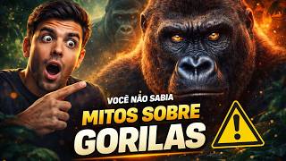 MITOS SOBRE GORILAS QUE TODO MUNDO ACREDITA (E ESTÃO ERRADOS)