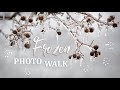 Photo Walk in Icy Conditions ❄️ Macro and 400mm Photography