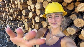 lofi ASMR at a sawmill