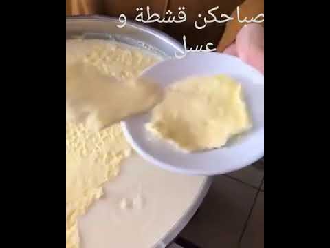 صباح القشطة