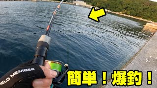 【根魚ワーム】ボウズ逃れ！誰でも簡単に海の魚を釣る方法がこちら！