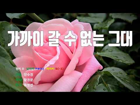 [은성 반주기] 가까이갈수없는그대 - 양수경 노래 / MR / 가사 / 반주