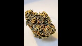 Colorado Highest Regards Live Cannabis Review is Checking Out Scooby Snax Found at Tumbleweeds Dispo