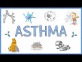 Asthma : Pathogenesis, Types, Clinical Presentation, Morphology, Diagnosis and Treatment