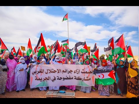 ⭕️ شاهد مسيرة نسائية ضخمة بولاية بوجدور تضامناً مع الجسورة "سلطانة خيا" وضحايا القمع المغربي.