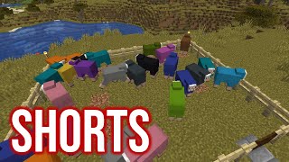 Did You Know... about the Jeb Sheep in Minecraft