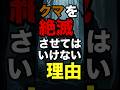 クマを絶滅させたら地球が終わる理由 #動物雑学 #生き物雑学