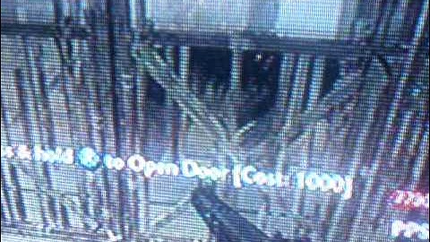 COD: WAW Shi No Numa Hell Hound Glitch