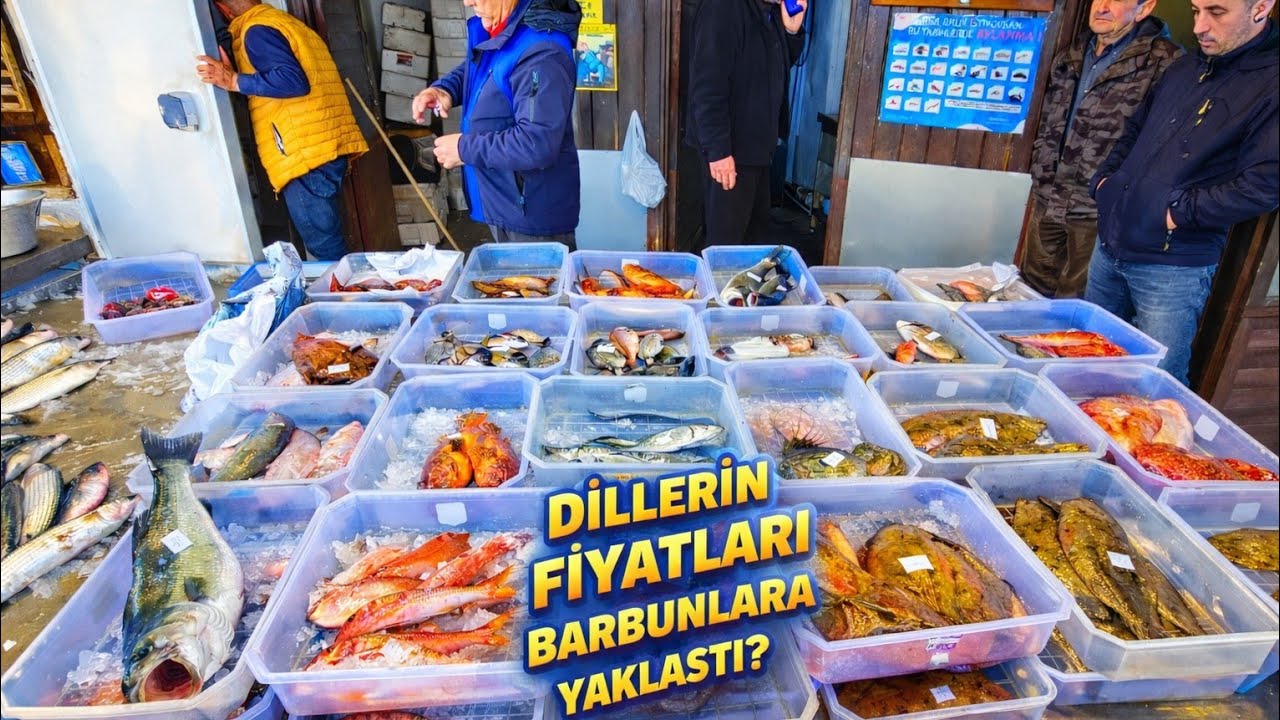 BALIK MEZATI (MORDOĞAN) 23.02.2026 GENİŞ EKRAN