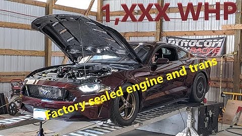 2018 Mustang GT 10r80 F-1A-94 Procharger Stock engine and trans Dyno, 1,XXX whp
