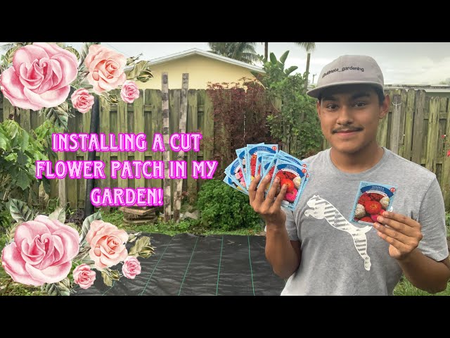 Installing A Cut Flower Patch In My Garden!🌸🧑🏽‍🌾 S:2, Ep.75