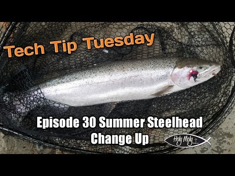 Tech Tip Tuesday