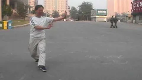 Bagua Master Di Guoyong Tang Ne Bu (Sliding in the...