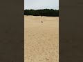 Deslizando nas Dunas