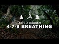 たった2分!自分ペースでできる4-7-8呼吸法|360度VRの森の中で自分を癒す🧘
