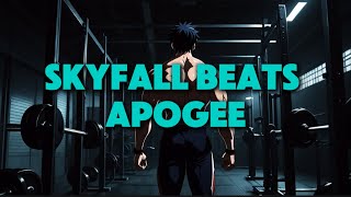 Skyfall Beat - Apogee [ slowed &amp; reverb ]