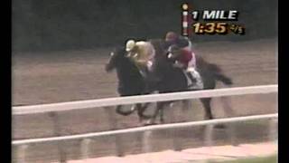 1989 Belmont Stakes - Easy Goer