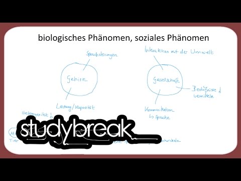 Video: Gerüchte Als Soziales Phänomen