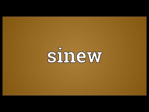 Sinew Meaning