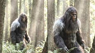 mother left instructions keep back forty wild sasquatch family ruth lawson true story
