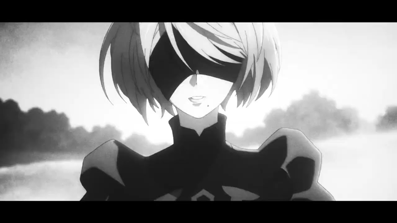 Nier: Automata - 2B and 9S「AMV/EDIT」