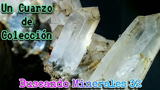 Buscando Minerales 32  Encuentro Excelente CRISTAL de CUARZO en una Veta.