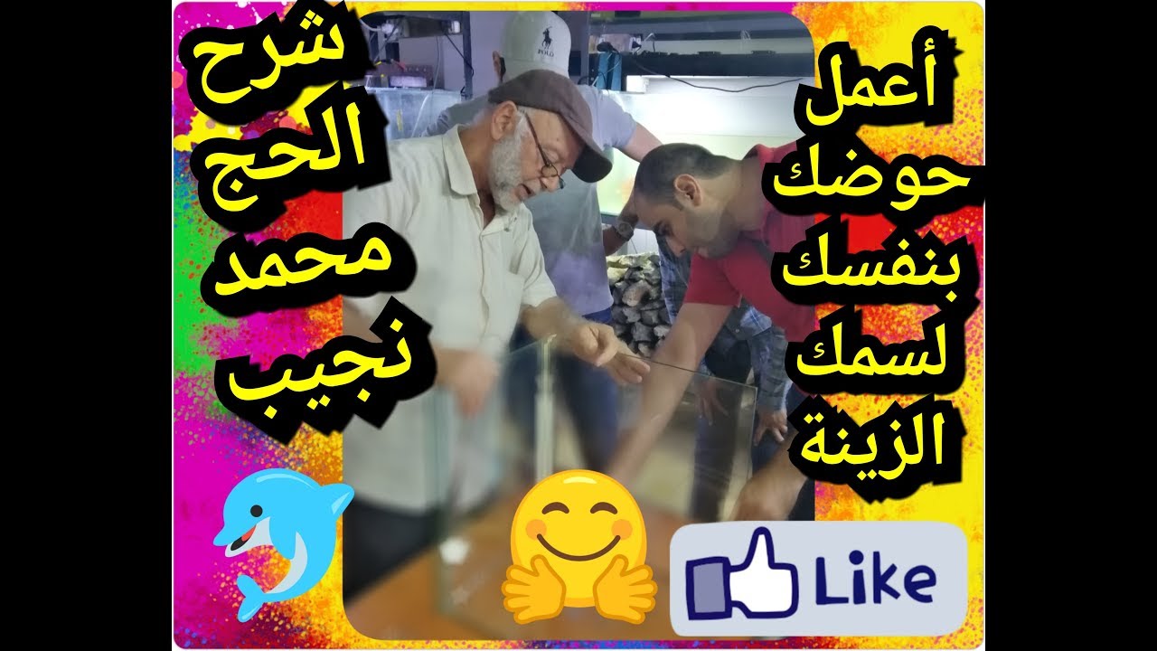 المحاضرة الكامله لانشاء حوض سمك زينه بنفسك مع الحج/محمد نجيب