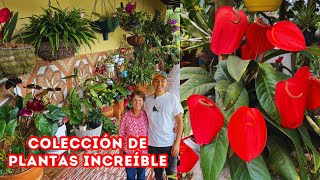 El JARDÍN de Marinita me dejó MARAVILLADO, ella nos enamoró con sus PLANTAS y sus CONSEJOS |AP