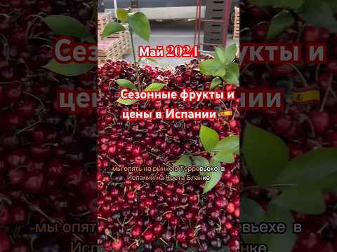 Сезонные фрукты в