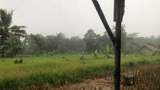 Syahdu banget , suasana Hujan Di Desa #hujan #desa by RINO PRIATAMA 7 views 3 weeks ago 1 minute, 13 seconds