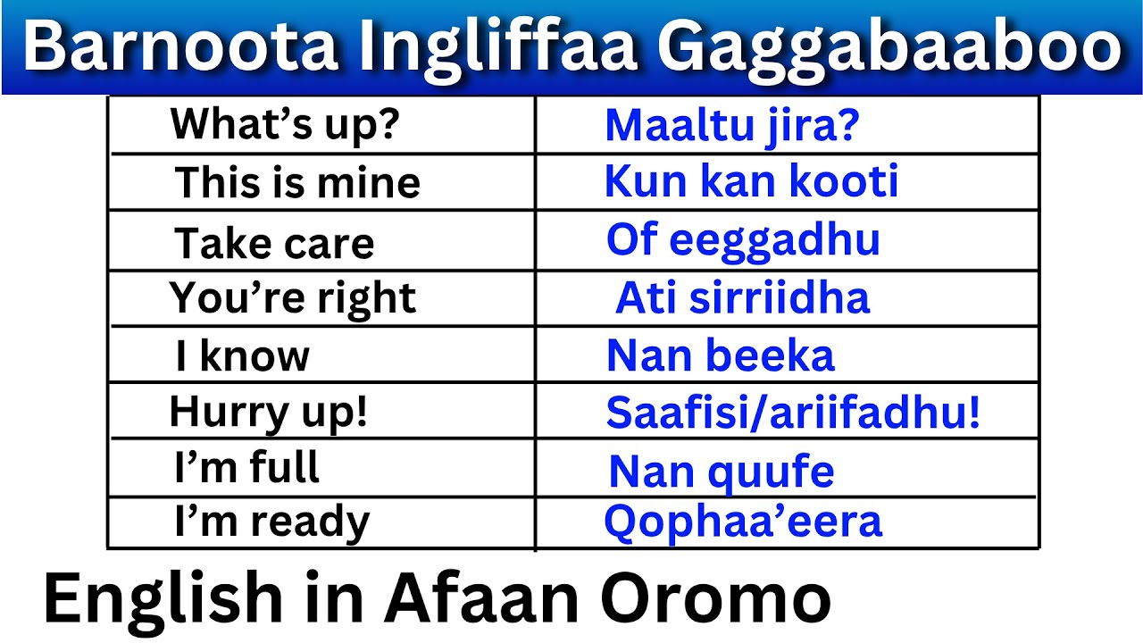 Barnoota Ingliffaa Gaggabaaboo Kutaa 4 | Short English Expressions in Afaan Oromo Part 4
