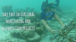 Atoll Volunteers - Journey To Naifaru