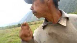 Jesus Tolaba mi amigo