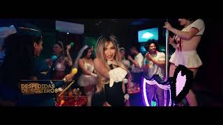 Vive la #ExperienciaPlatinum con glamorosos espectáculos y la mejor compañía.