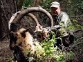 Bezoar Ibex Hunting in Turkey _ Teke Avı _ Recep Ecer