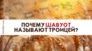 БОРИС ГРИСЕНКО: Почему Шавуот называют Троицей?