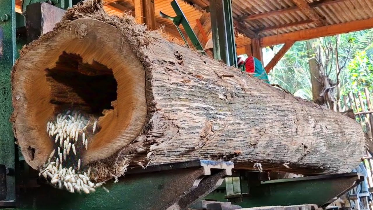 Dangerous sawing of old teak logs at the sawmill - YouTube