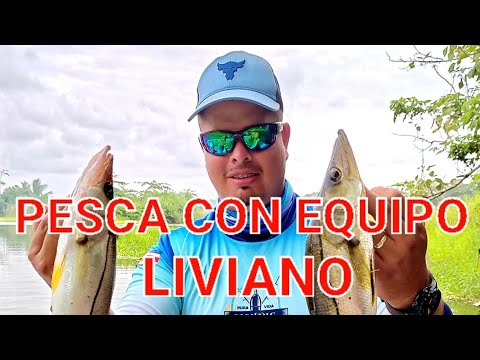 COMO PESCAR CON EQUIPO LIVIANO #shorts #gmleefishingcr #parati #viral  #lentejas #robalo #gunther 