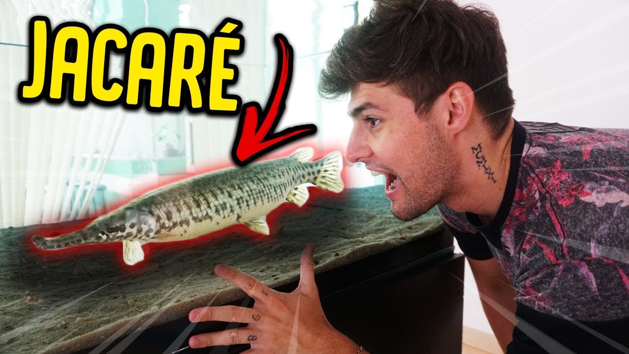 gigante express COMPREI MEU PRIMEIRO PEIXE!! ( JACARÉ? ) [ REZENDE EVIL ]