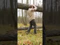 Solo bushcraft in the wild ? #Shorts