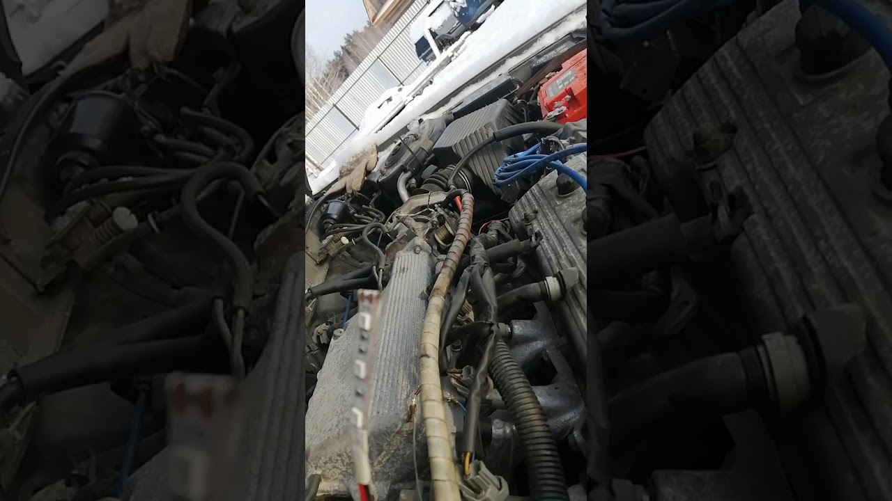 Фаркоп carib ae95