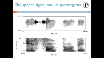 The use of the PRAAT software in acoustic analysis (examples of animal vocalizations).