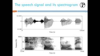 The use of the PRAAT software in acoustic analysis (examples of animal vocalizations).