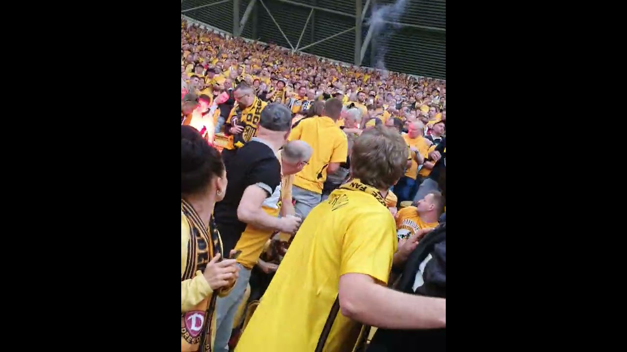 Dynamo Dresden vs  RB Leipzig DFB Pokal 2016 Spielzusammenfassung