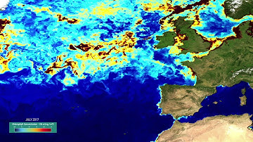 Atlantic Ocean Colour