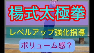 楊式太極拳をレベルアップ強化指導#張紹偉