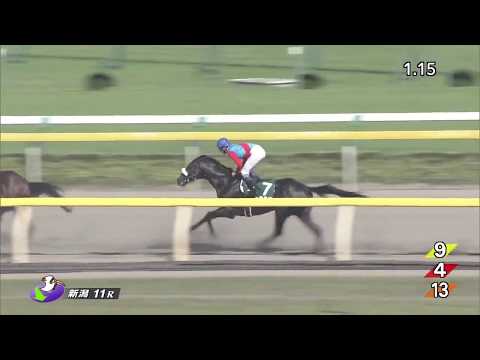 2017/8/ 6  第9回 レパードステークス　GⅢ《ローズプリンスダム》